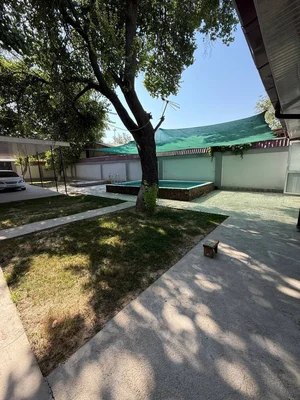 Фото 5 Дача в Паркенте
