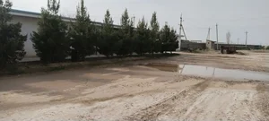 Фото 3 Ишлаб чиқариш базаси в Оҳангарон тумани