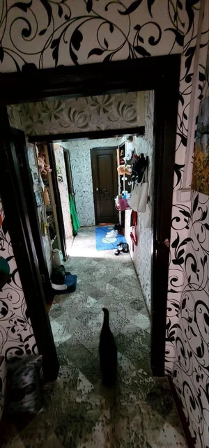 Фото 2 2-комн. квартира в Спутник 9