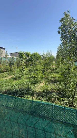 Фото 5 Дом в Махалле Сурум