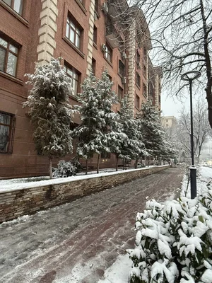 Фото 2 2-комн. Комната в ГАБУС