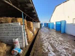 Фото 4 Дом в Кибрай Аргин Кипчок