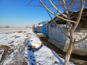 Фото 10 Дом в Кибрай Аргин Кипчок