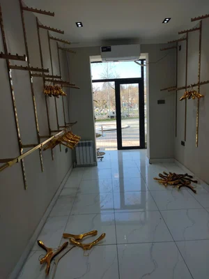 Фото 2 Коммерческая недвижимость в Чиланзар-17