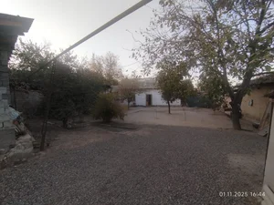 Фото 2 Участок в Центр Янгибазар