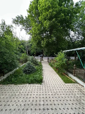 Фото 1 Не указано